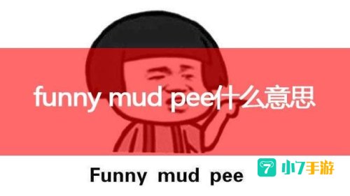 funny mad pee 什么梗