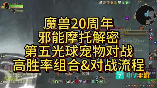 wow宠物对战攻略